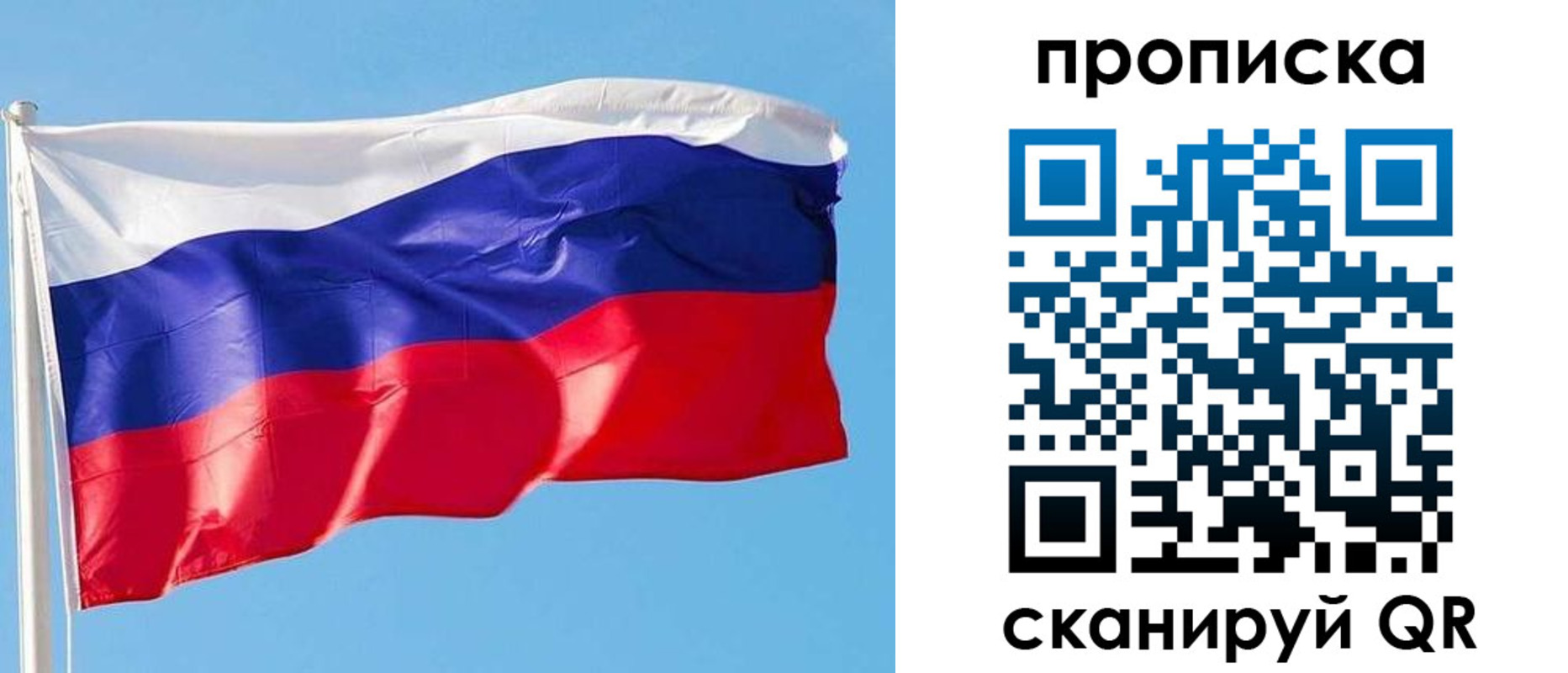 прописка поиск в Сертолово
